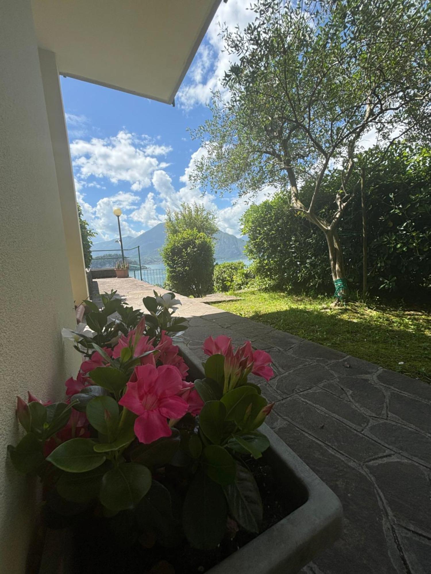 Ortensia Lake Como - Perfect For Couple And Pets 바레나 외부 사진
